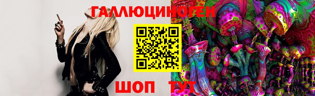 Галлюциногенные грибы Magic Shrooms  Вход с VPN  Псилоцибиновые грибы Psilocybine cubensis  Михайловка 